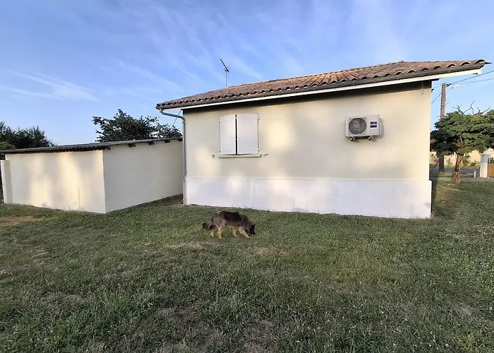 Charming Near Saint-emilion Holiday home